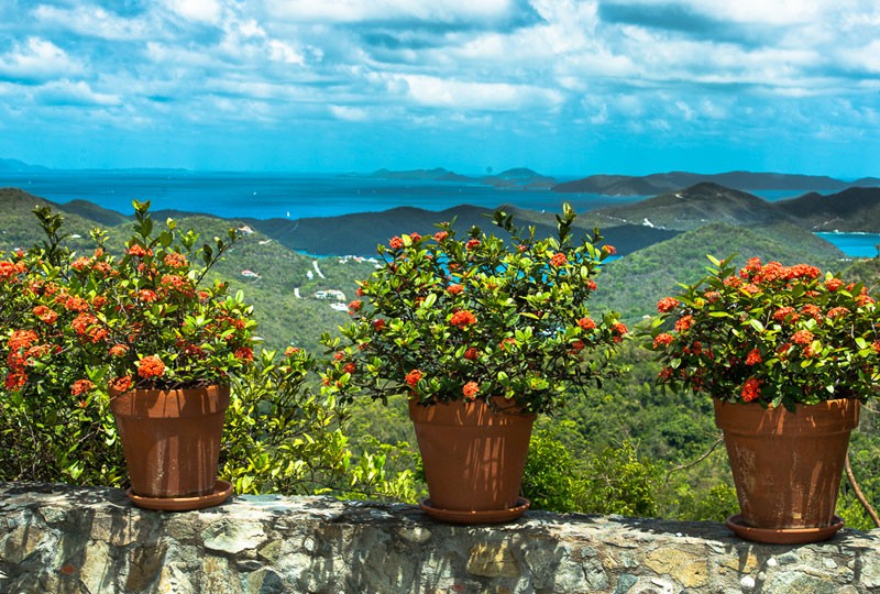 05-chateau-margot-planters-800x540