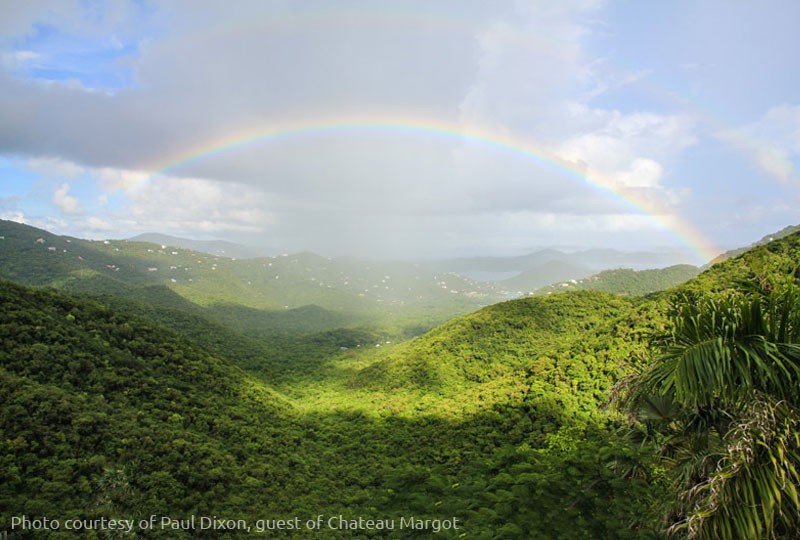 12-chateau-margot-view-800x540