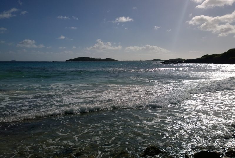 WP_20161225_011-scaled-800x540