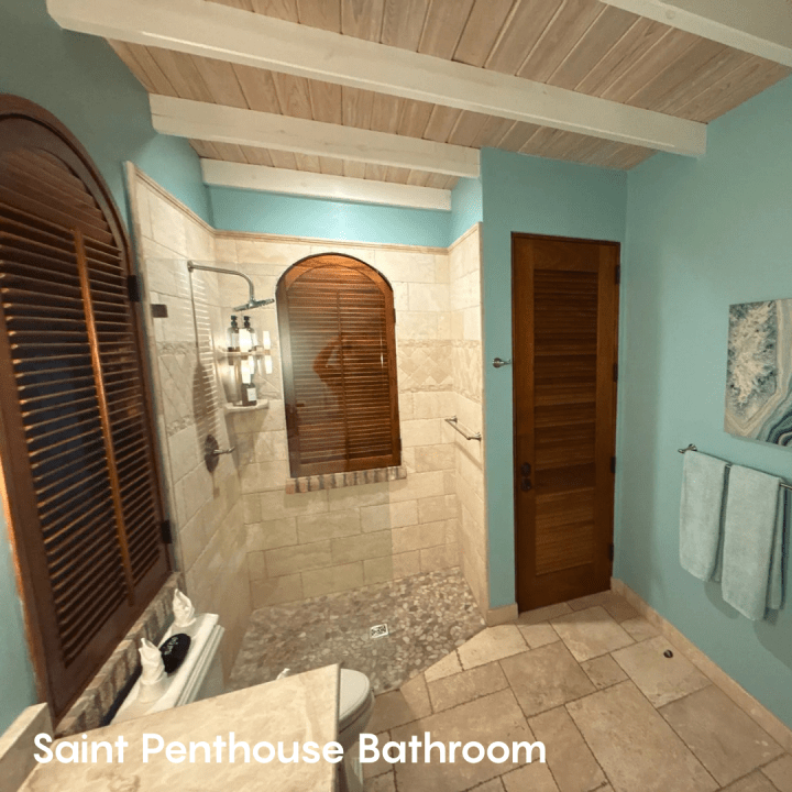 Saint Penthouse Bathroom